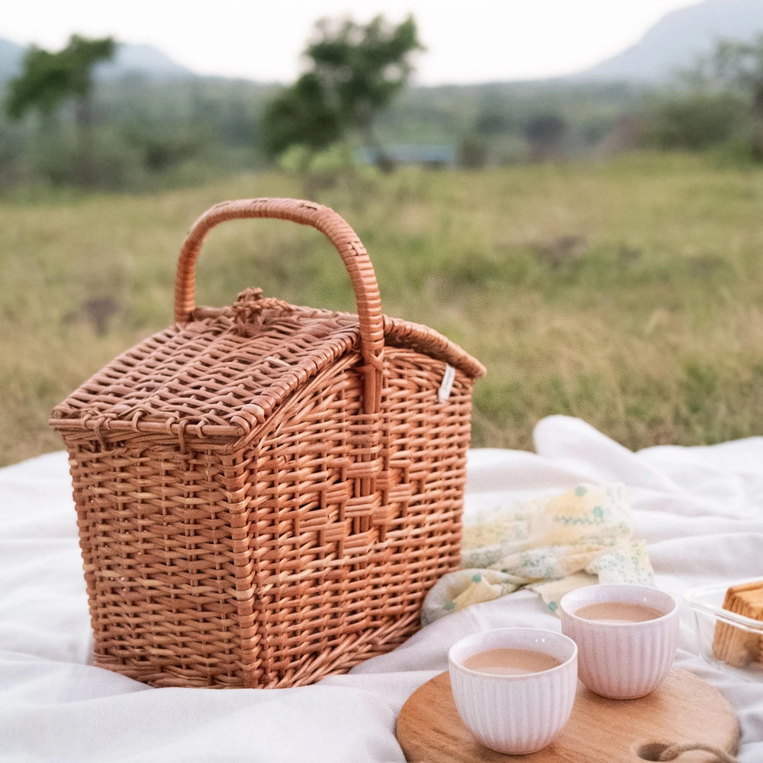 Picnic Bag
